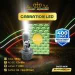 Blue Blood Hyacinth flashing LED light pair – 15000lm